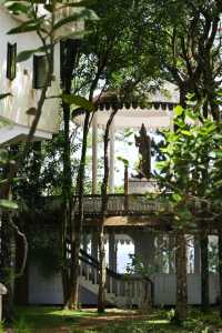 Discover the Ancient City of Kandy in Sri Lanka