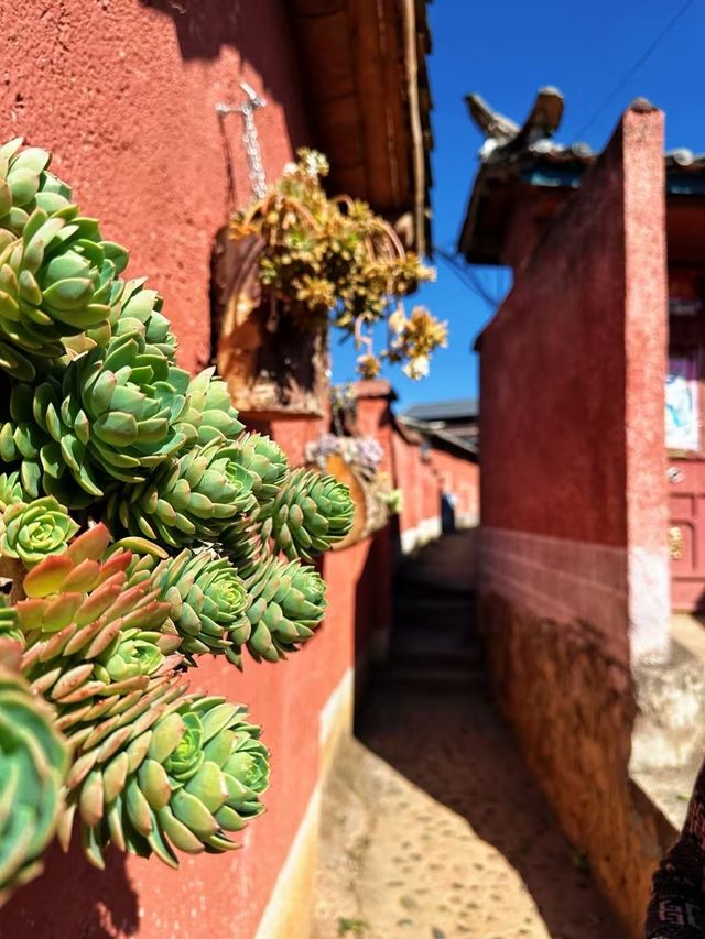 探秘迤沙拉：時光深處的彝家明珠
