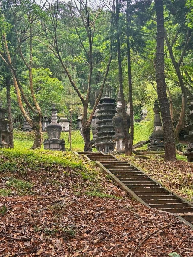 深圳園山，不只是景區，更是心靈的治癒聖地！