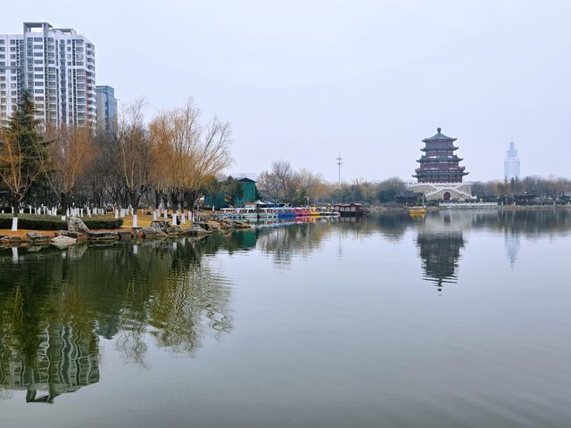 南池荷淨 李杜攜遊