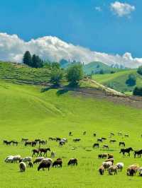 Xinjiang, the most beautiful place in my heart in China 🌹