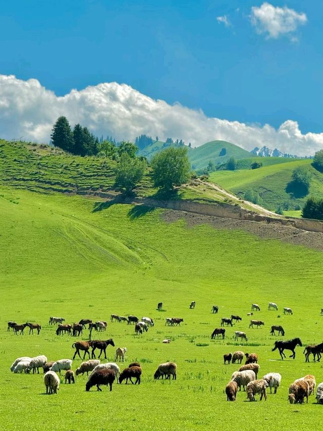 Xinjiang, the most beautiful place in my heart in China 🌹