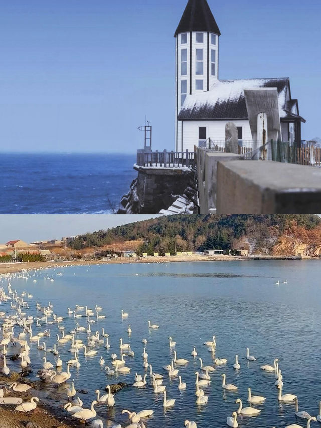 不是冰島去不起,而是威海更有性價比! 不是冰島去不起,而是威海更有性價比!