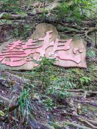 都江堰-青城山2日遊 玩轉古堰與仙山