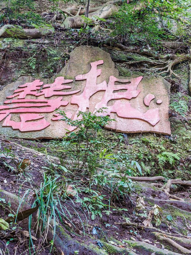 都江堰-青城山2日遊 玩轉古堰與仙山