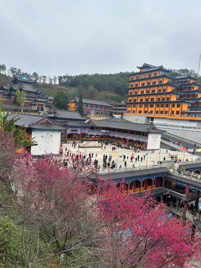 春節祈福、春日賞櫻好去處！