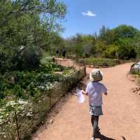 Exploring Phoenix Zoo and Desert Botanical Garden