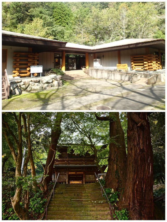 日本大分旅遊詳細攻略