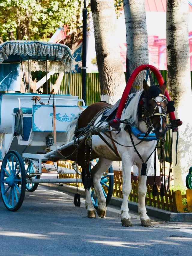 8일간의 알타이 지역-일리 여행 베테랑 여행자를 위한 필수 가이드