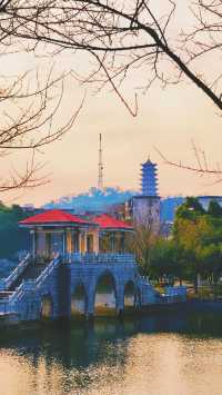 《秀峰公園的除夕與正月初六》