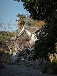 曲園-曲徑通幽處拍照打卡攻略