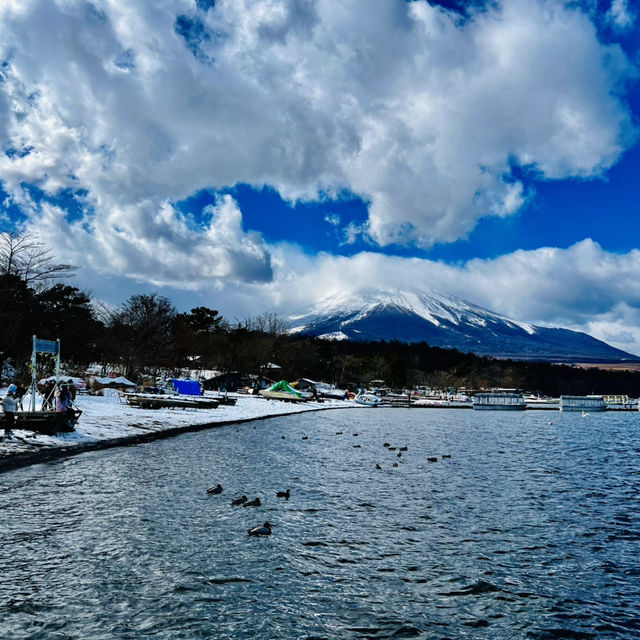 東京周邊靚景@富士山中湖😝