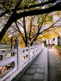 北京玉河庵，挨着南鑼鼓巷、什剎海的小眾免費景點