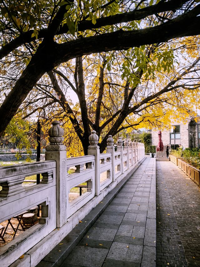 北京玉河庵，挨着南鑼鼓巷、什剎海的小眾免費景點