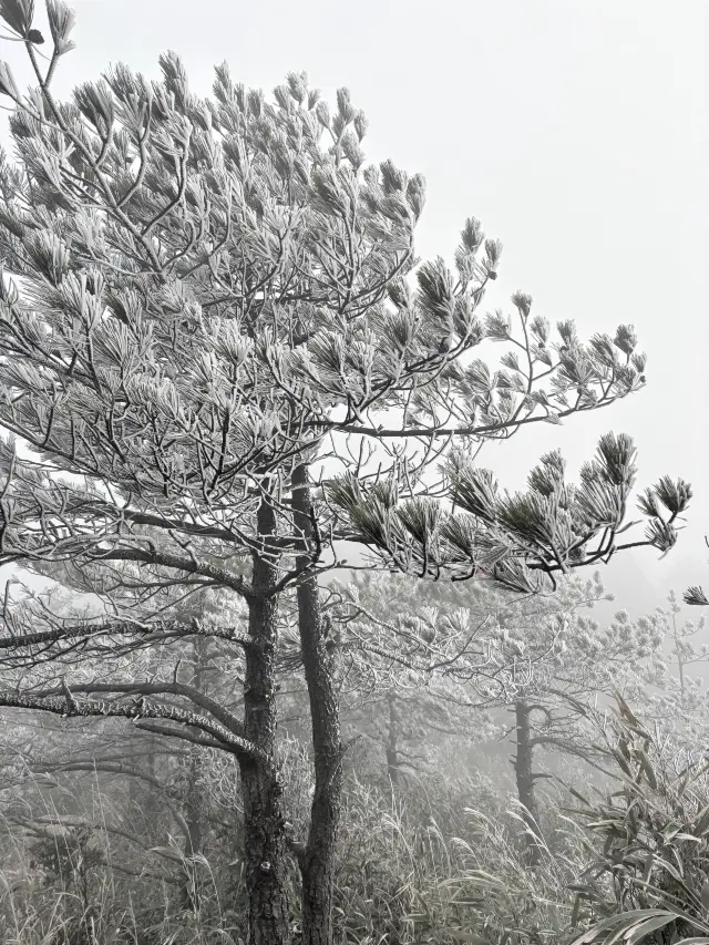 Jiuxian Mountain, Dehua: A Must-Visit Secret Mountain Retreat in Southern Fujian