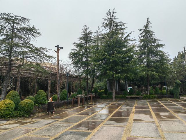 在空中無痛觀看百丈漈