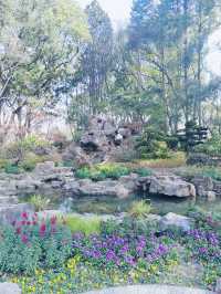 上海的小西湖—楊浦公園探尋