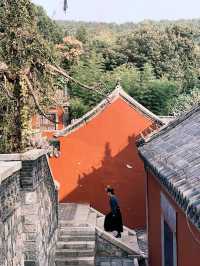 無數人追問的拍照聖地｜普照寺