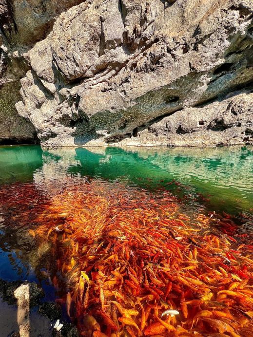 Taogong Cave on the Nanxi River｜A unique place to pray for blessings and fortune!