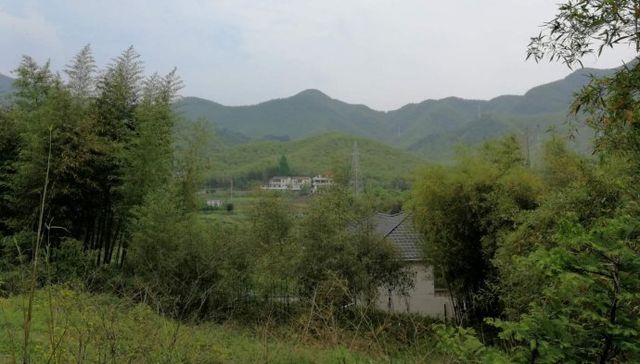 走進安吉