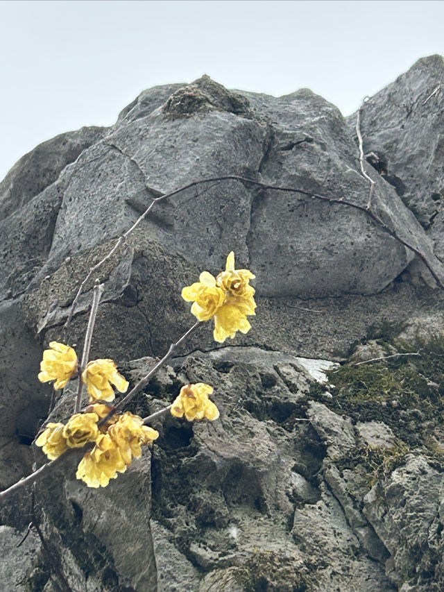尋找春天，我選擇桂林公園，寧靜且美好