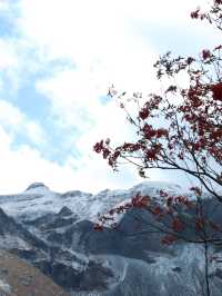 哈爾濱-雪鄉-延吉6日遊超詳細攻略 帶你玩轉東北雪景