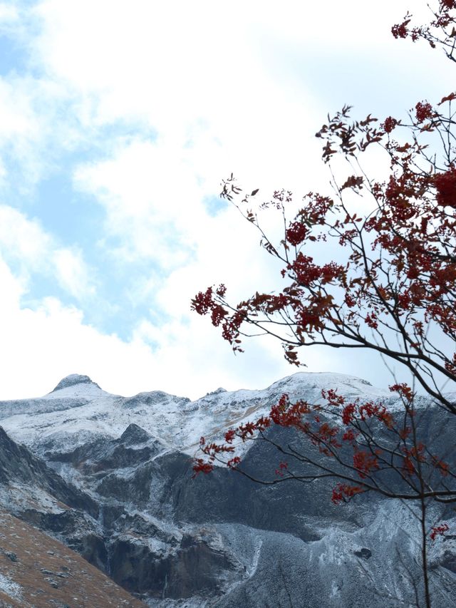 哈爾濱-雪鄉-延吉6日遊超詳細攻略 帶你玩轉東北雪景