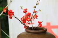 吉林四平市植物園：自然之美的繽紛世界