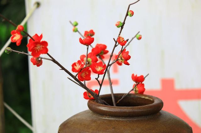 吉林四平市植物園：自然之美的繽紛世界