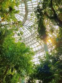 鄭州的春和景明從植物園的溫室開始