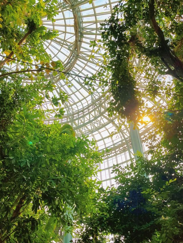 鄭州的春和景明從植物園的溫室開始