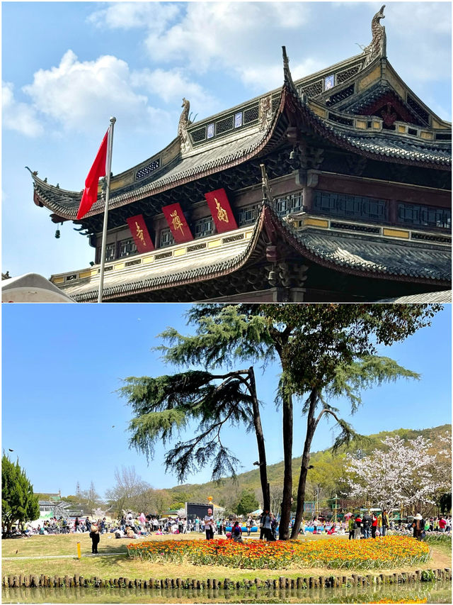 無錫歸來，避開每一個雷
