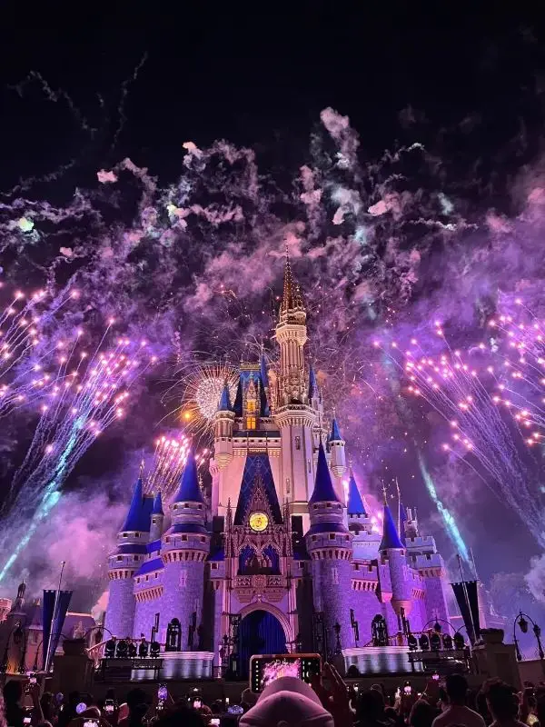 Orlando New Year Disney + Universal Four-Day Five-Park Adventure (Part 2)