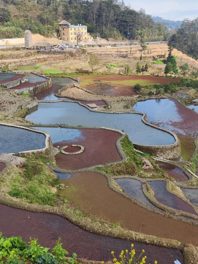 冬日雲南昆明-普者黑風景區7日遊 錯過你會後悔