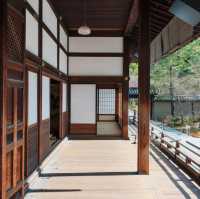 京都｜高台寺 🍵