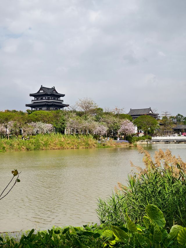 海珠湖親子遊，春日暢快呼吸！