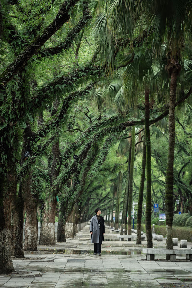 在回桂林，拍到了迄今為止我最喜歡的一條路