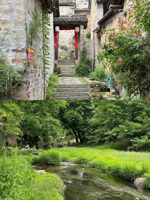 信陽｜山水茶鄉嘅悠然慢調之旅