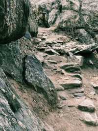 「山王之王」輕鬆登山  風景「美翻」
