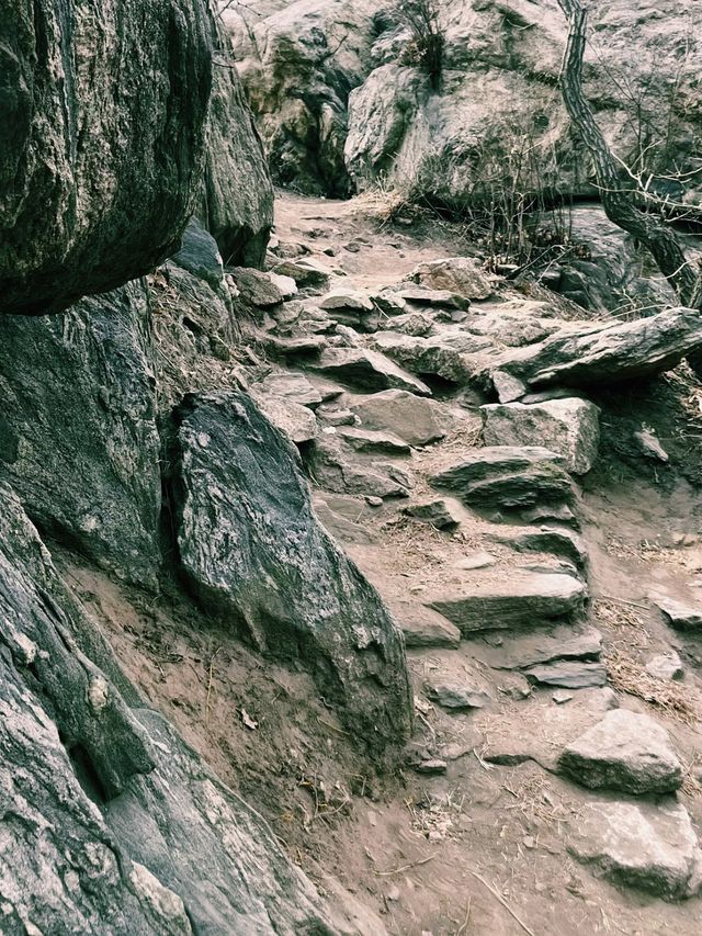 「山王之王」輕鬆登山  風景「美翻」