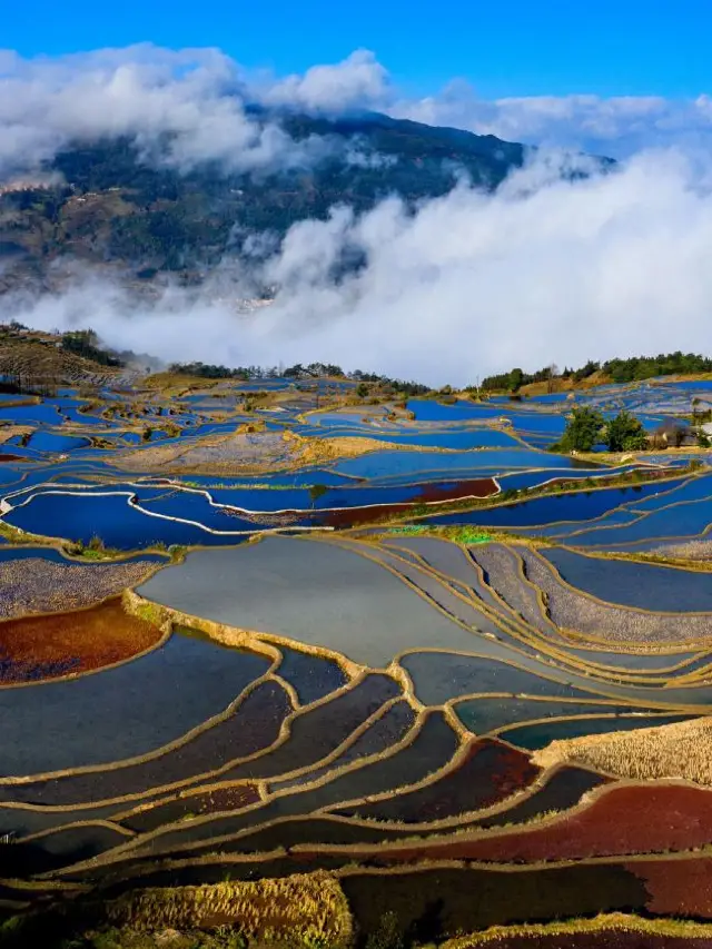 7-Day Trip for Old Friends: Kunming, Jianshui, and Yuanyang Rice Terraces