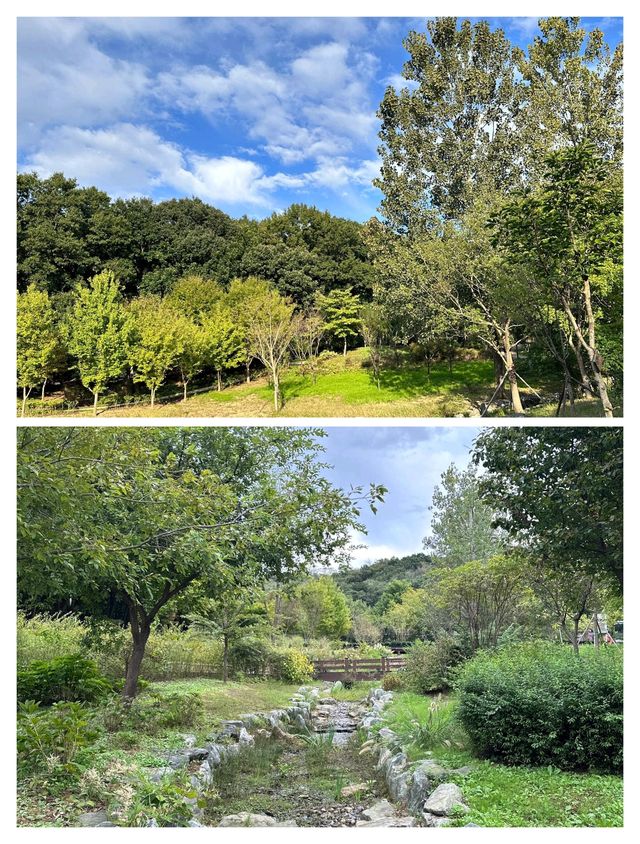 秋天一定要去的韓國富川，美翻了！
