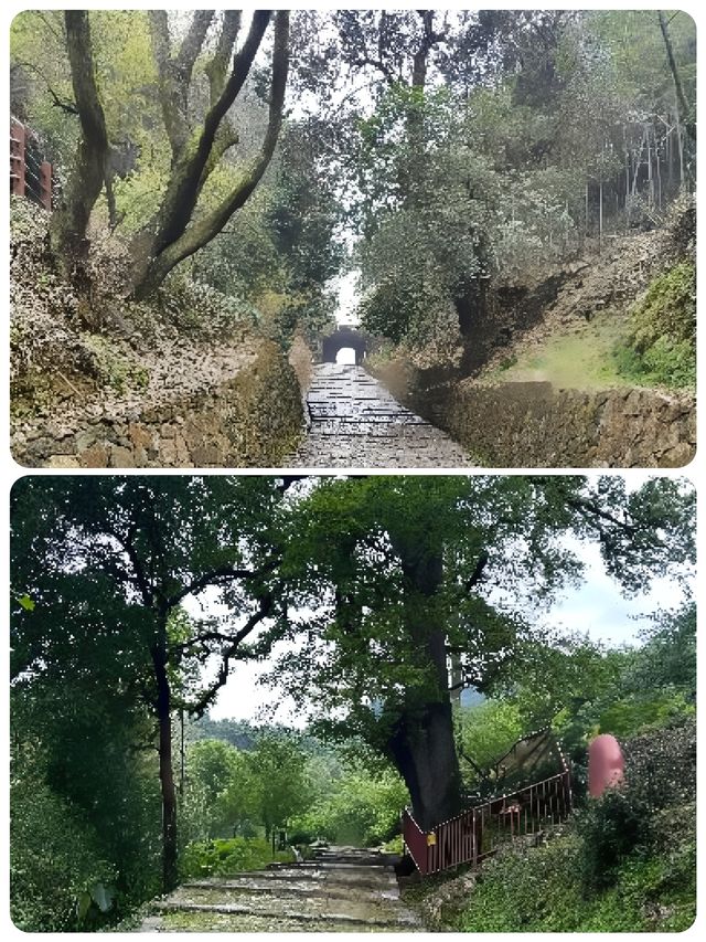 漫步梅關古道，領略千年韻味詩意濃濃