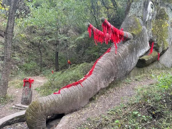 探索丛林深處的神秘“七層妖塔”