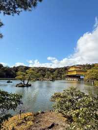 8日暢遊日本 超齊全攻略帶你玩轉熱門景點