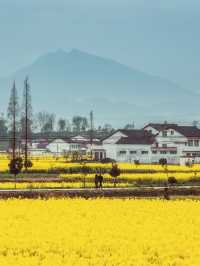 我在漢中上春山，邂逅西北小江南