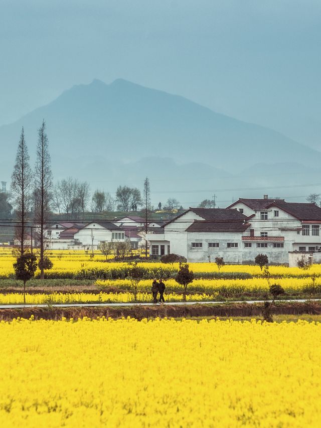 我在漢中上春山，邂逅西北小江南