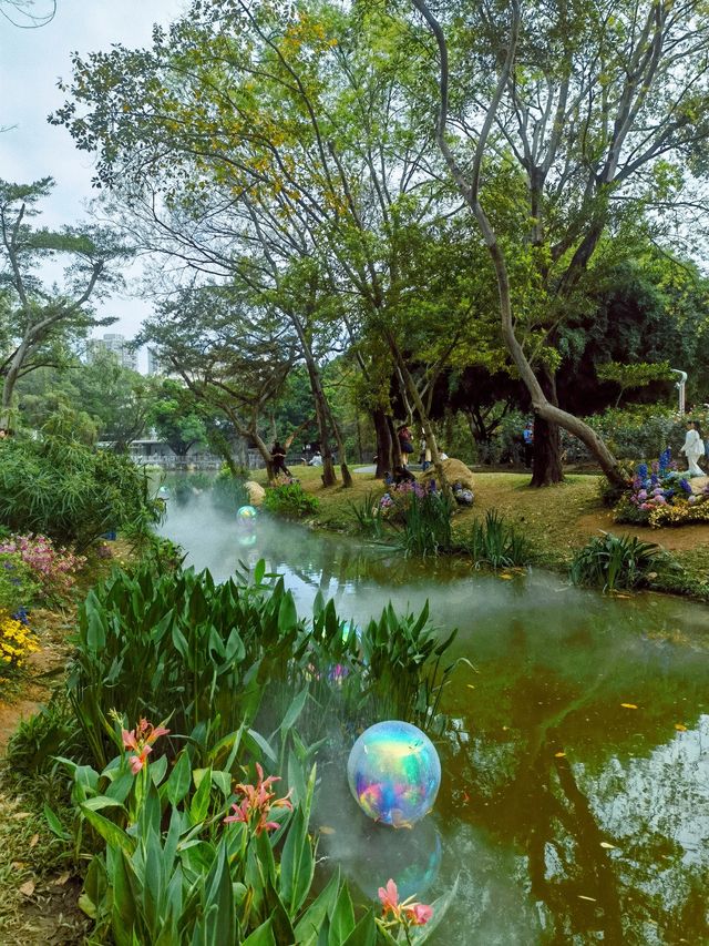 深圳版莫奈花園又有新搞作，打卡一流