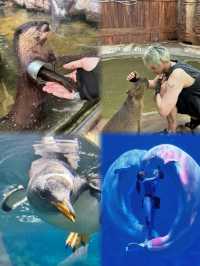 海花島海洋公園 動物互動攻略大放送