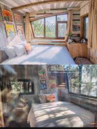 誤入童話秘境 齊雲山自由家·樹屋世界